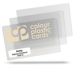 ivory - Approx Pantone: 7506 C