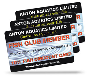 Amwell Aquatics Limited